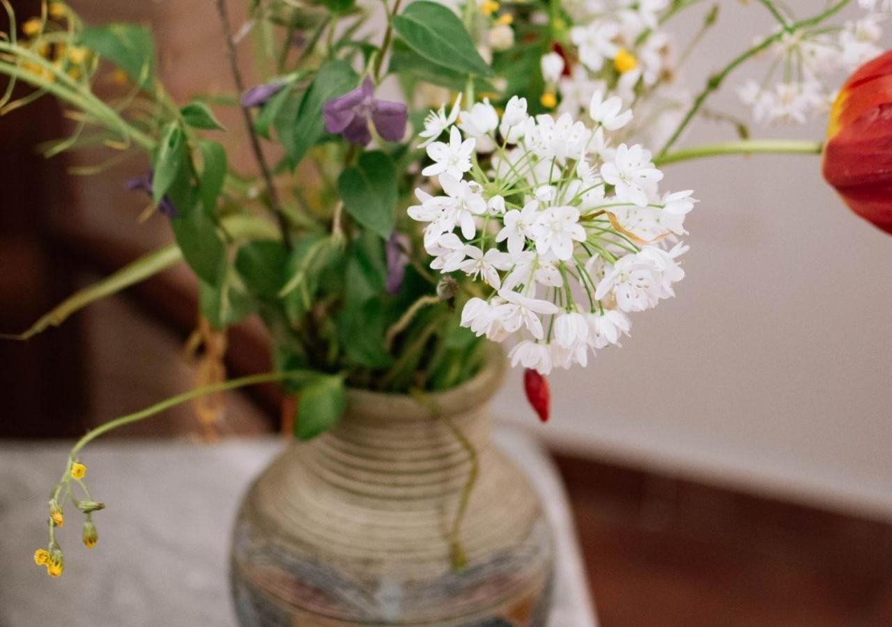 Agriturismo Il Sentiero Degli Ulivi - Irpinia Venticano 外观 照片
